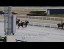 １０回船橋競馬３日目観戦日記（前編）