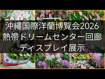 沖縄国際洋蘭博覧会2026 熱帯ドリームセンター回廊 ディスプレイ展示