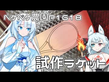 2026年1月27日　農作業日誌P1618　木工細工でラケット作ってみようか？