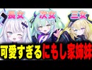 誰が「姉」なのか…『にもし家三姉妹コラボ』【銀棘ぐみ / 王猛ちたむ / メーメントヴァニタス】