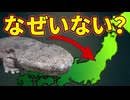 オオサンショウウオが東日本にいない理由【生物解説】