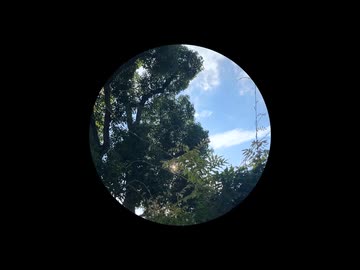 【全力で】ムーンゲイザー　歌ってみた【てきてき】