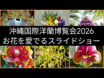 沖縄国際洋蘭博覧会2026 お花を愛でるスライドショー