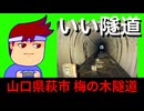 ヤブヤブブラブラ編。【バーチャルいいゲーマー佳作選】
