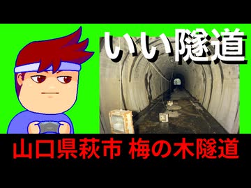 ヤブヤブブラブラ編。【バーチャルいいゲーマー佳作選】