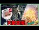 【鉄の目ソロ】中編 ～ 天敵は上流小姓【ナイトレイン】