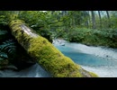 4K scenery