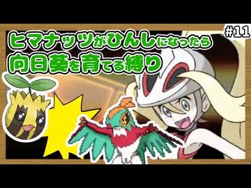 【ポケモンXY】ヒマナッツがひんしになったら『現実で向日葵を育てる縛り』（Part⑪）