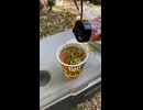 豪州BBQ #4