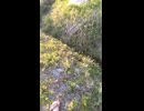 PXL_20230329_081647138