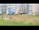 PXL_20230514_072529343