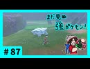 ★ポケモン　ソード★ワクワクがダイマックス！ガラル旅★初見実況#87★