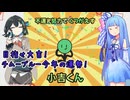 ラッキーガールモカ&葵！ 中身の見えるおみくじのゲーーーーーーーーーーーーーーーーーーーームwithチームブルー【ふぇにきのミニゲームゆにばぁ～す】【VIVID_VOICE_FESTIVAL2】