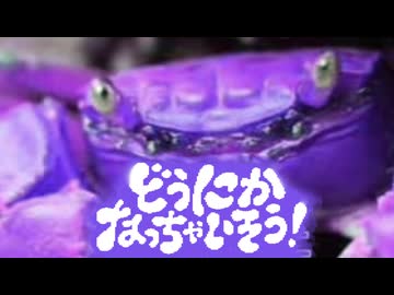どうカニなっちゃいそう！4選