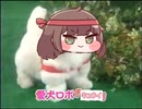 愛犬ロボ　キュウイ