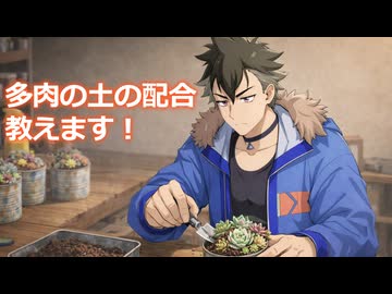 【多肉植物】我が家の多肉植物の無機系用土を紹介してみる【ソフトウェアトーク劇場】