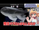 【Artificial Providence 2 #24】海岸洞窟　陸生マグロってなんなの～？【ずんだもん実況】