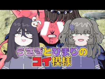 うさぎとひまりのコイ模様