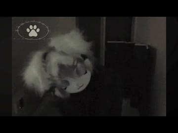 きみはシゾフレンド / ナースロボ＿タイプT