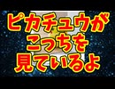 ピカチュウがこっちを見ているよ