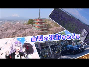 【exVOICE車載】ミニとドライブしようpart35【山梨の花影をめぐる】