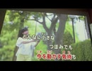 カラオケ「Happiness」嵐