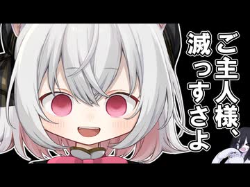 化け猫に絡まれる中国うさぎ
