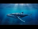 オリジナル曲／A.Q.U.A-Heart feat.Jin