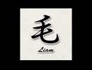 毛 Liam