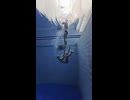やじゅまんとみる修行