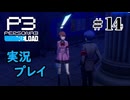 【ペルソナ３リロード】命の答え　P3R 第14夜