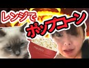 ナガセエマのポップコーンづくり　川崎エリート・ナガセエマ【運営対策版】