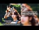 【KAITO】Like Giraffe 【オリジナル曲】