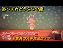 あつまれどうぶつの森　氷家具の入手方法は！？氷家具レシピはどこ？　スノーフレークのかべがみ編　＃４５５　【あつ森】