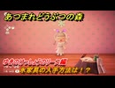 あつまれどうぶつの森　氷家具の入手方法は！？氷家具レシピはどこ？　ゆきのけっしょうのリース編　＃４５９　【あつ森】