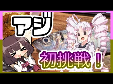 初挑戦！！卸せアジの三枚おろし！そしてアジフライ！！【ついなちゃんの簡単料理】