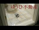 気味が悪すぎる不動産サイト【ゆうひ不動産】