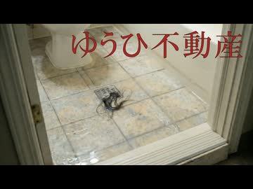 気味が悪すぎる不動産サイト【ゆうひ不動産】