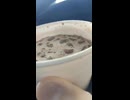 東京湾アクアライン上にある休憩所の海ほたるのコーヒー自販機で購入したアイスココアは230円でbigサイズとのことだが、実際は小さなカップだった