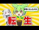 【朗報】ずんだもん、野菜になる 【アンドロイド見夢/ニコニコ超会議2026】