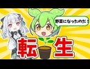 【朗報】ずんだもん、野菜になる 【アンドロイド見夢/ニコニコ超会議2026】