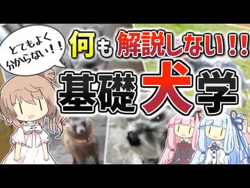 【コント】何も解説しない！基礎犬学