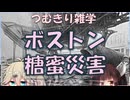 【歴史解説】つむきり雑学「ボストン糖蜜災害」【VOICEVOX】