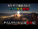 【実話・ガチ映像！】米セドナで体験したタイムスリップ・UFO目撃・亡き愛犬の神秘体験【AI解析で驚愕の事実が判明！】