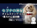【実話・ガチ映像！】米セドナで体験したタイムスリップ・UFO目撃・亡き愛犬の神秘体験【AI解析で驚愕の事実が判明！】