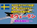 【ゆっくり解説】マイナー軍隊解説! スウェーデンの軍事力 ～中立を捨てNATO加盟! 独創的な兵器が多い・・～
