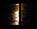 Hate it ALL / NatureHATE feat. Hayden & Eri