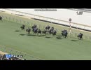 リッツパーティー　3歳新馬