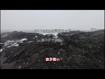 さどうささらの魚釣り#9　釣りができない