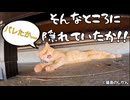 そんなところに隠れていたか！！